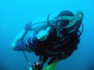 Pulpo 